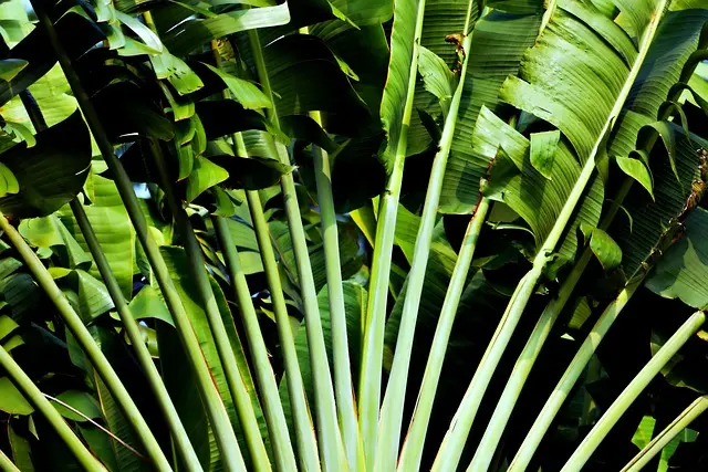 Cómo Crear un Jardín Vertical Perfecto en Casa: Guía Completa