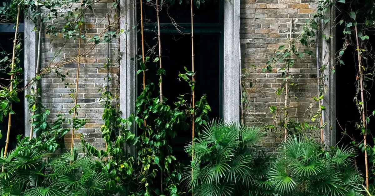 Cómo Elegir el Jardín Vertical Perfecto para Tu Casa