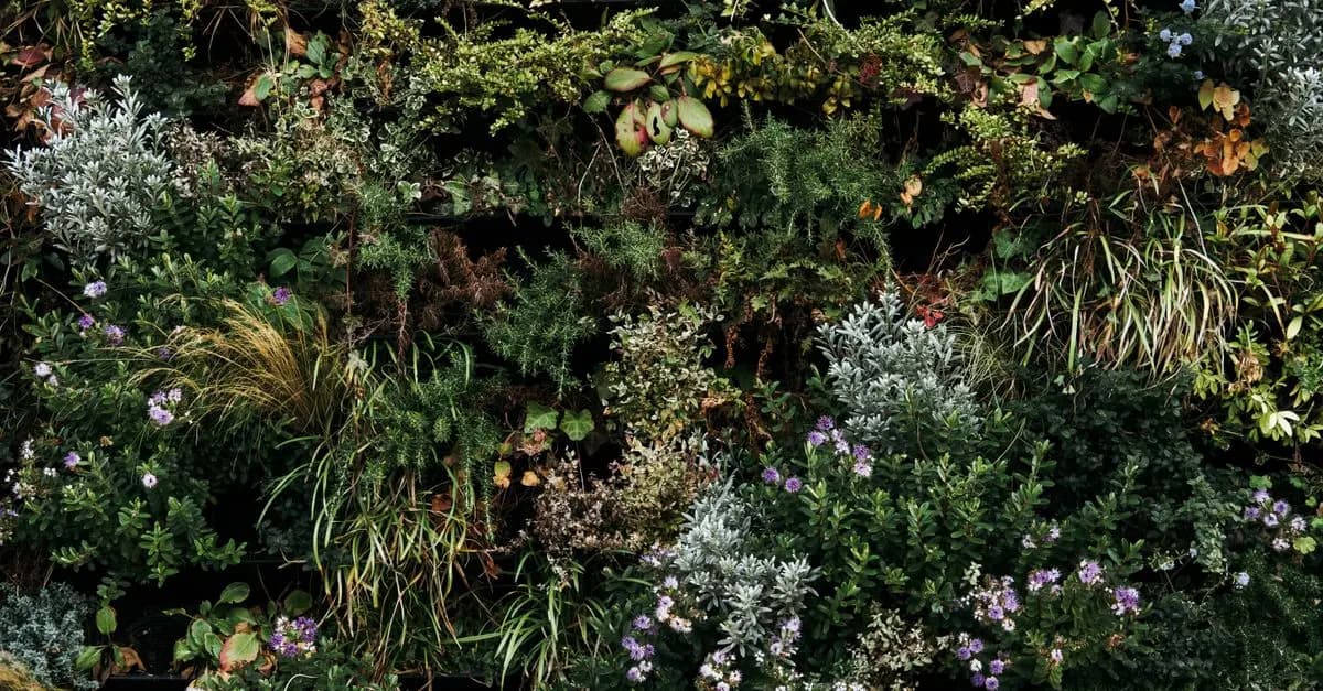 Cómo Crear un Jardín Vertical Espectacular en Casa: Guía Práctica
