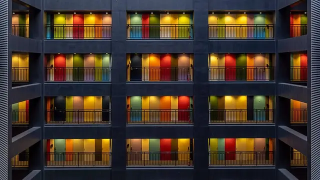 Cómo Elegir el Jardín Vertical Perfecto para Tu Casa