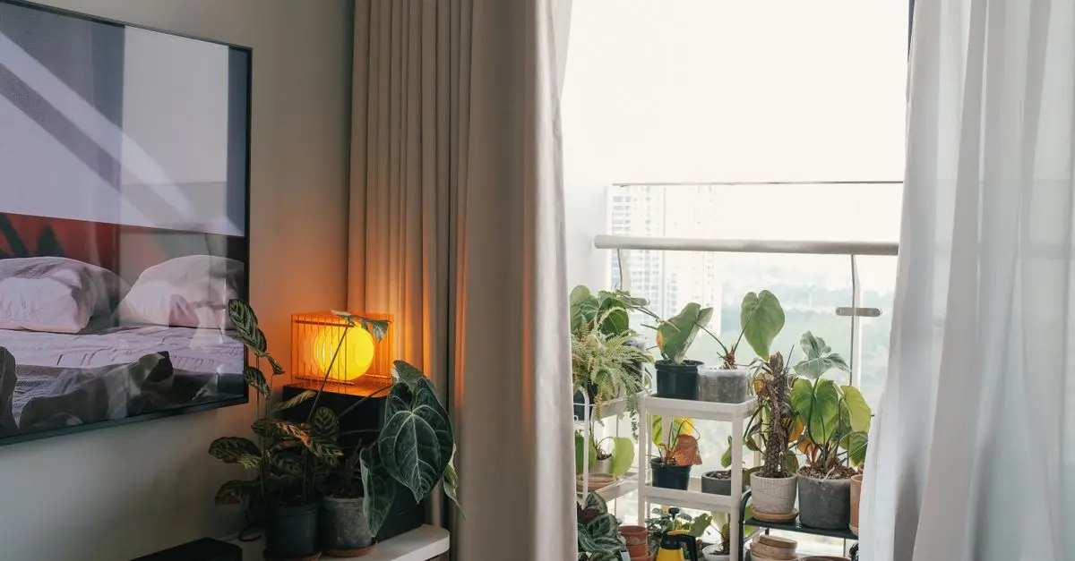 Cómo Elegir los Mejores Complementos Decorativos para tu Casa
