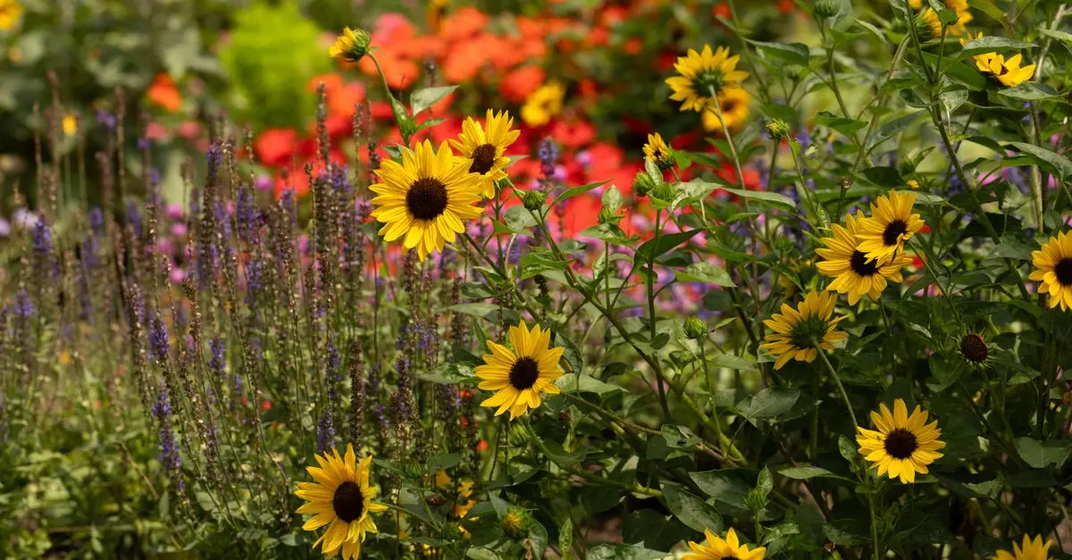 Cómo Crear el Jardín Perfecto en Casa: Guía Completa
