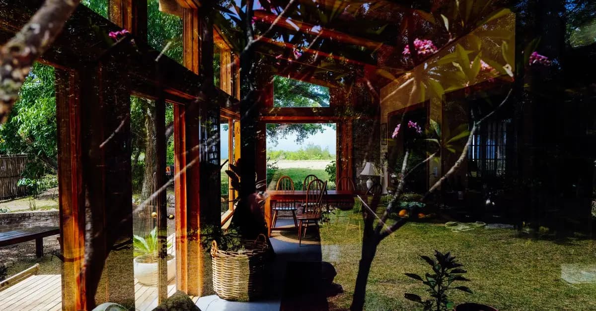 Cómo Elegir el Jardín Ideal para Tu Espacio Exterior