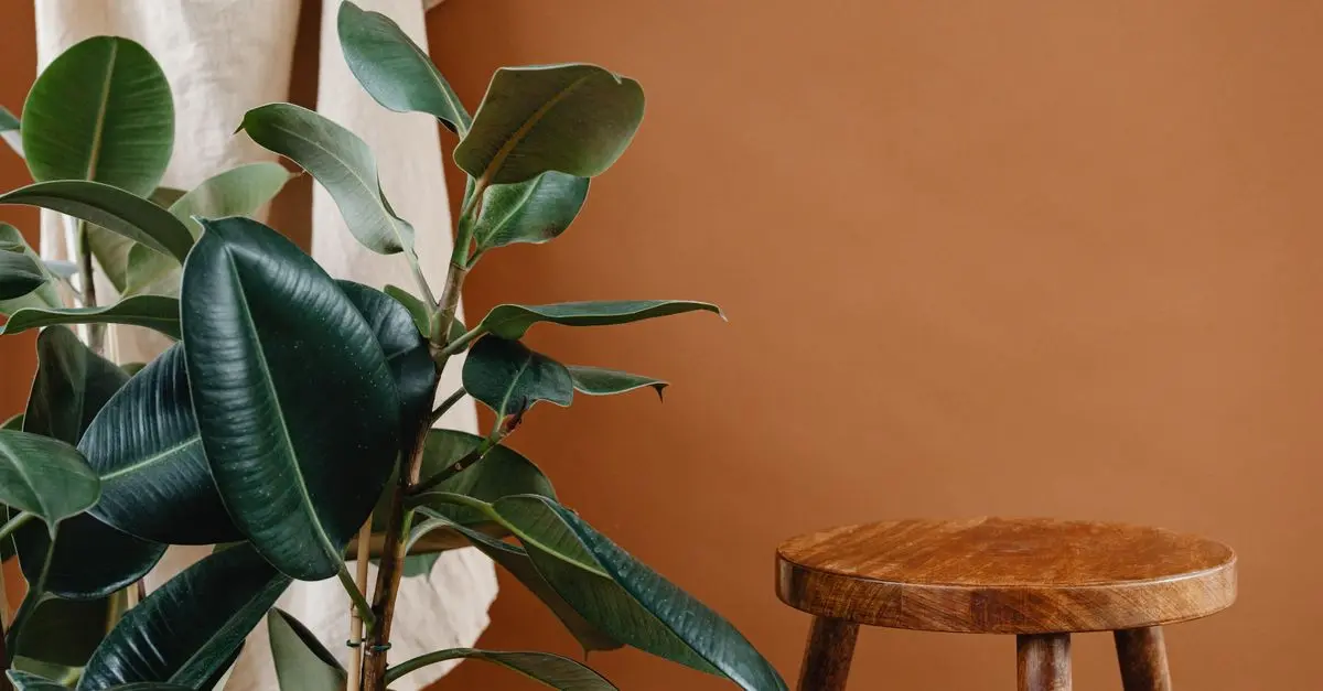 Cómo Elegir Pintura Ecológica para Tu Casa
