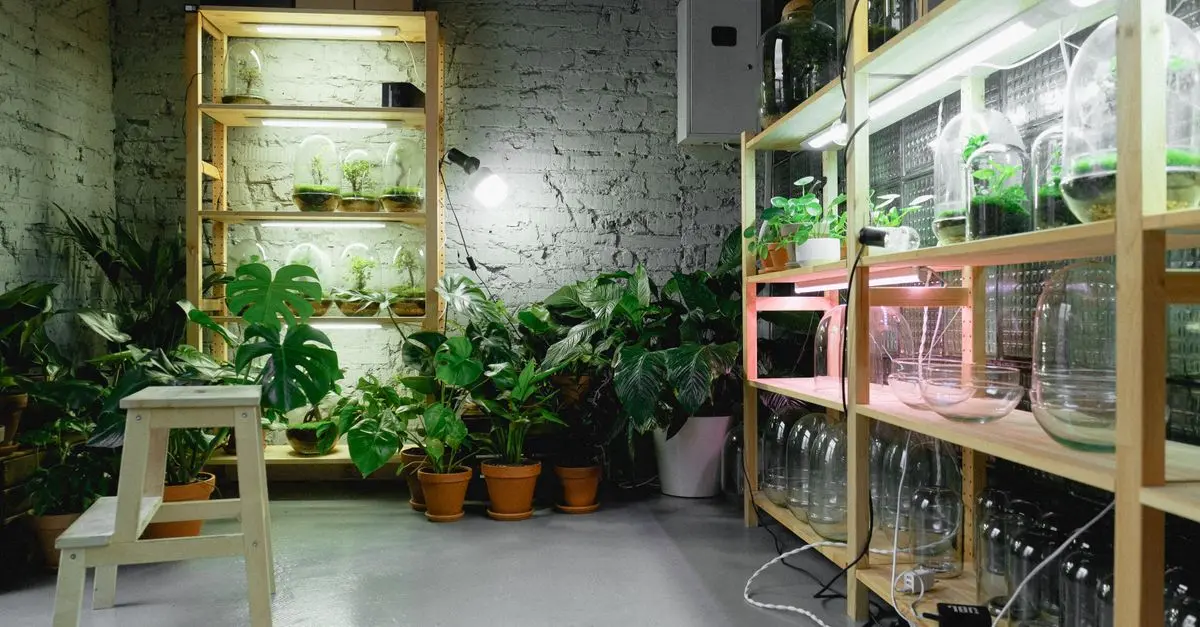 Cómo Crear un Jardín Vertical en Casa: Guía Práctica y Sencilla