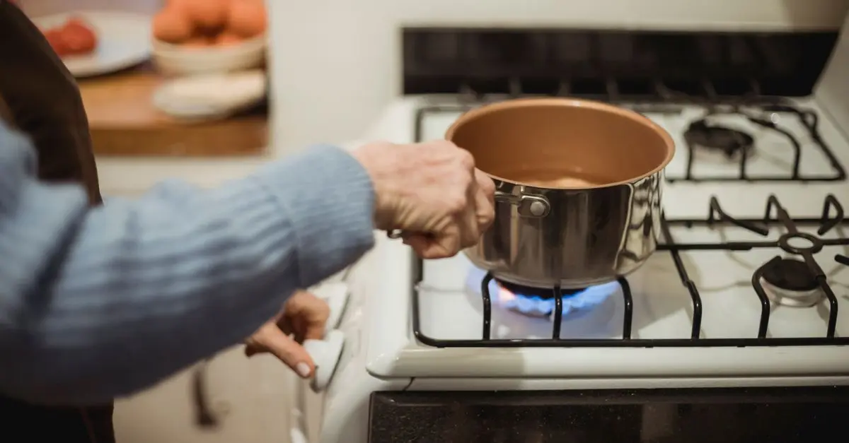 Comparativa de Estufas de Pellet vs Gas