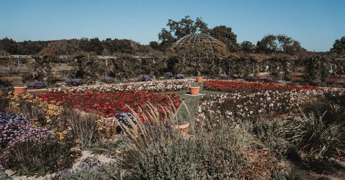 Cómo Elegir el Jardín Ideal para tu Espacio Exterior