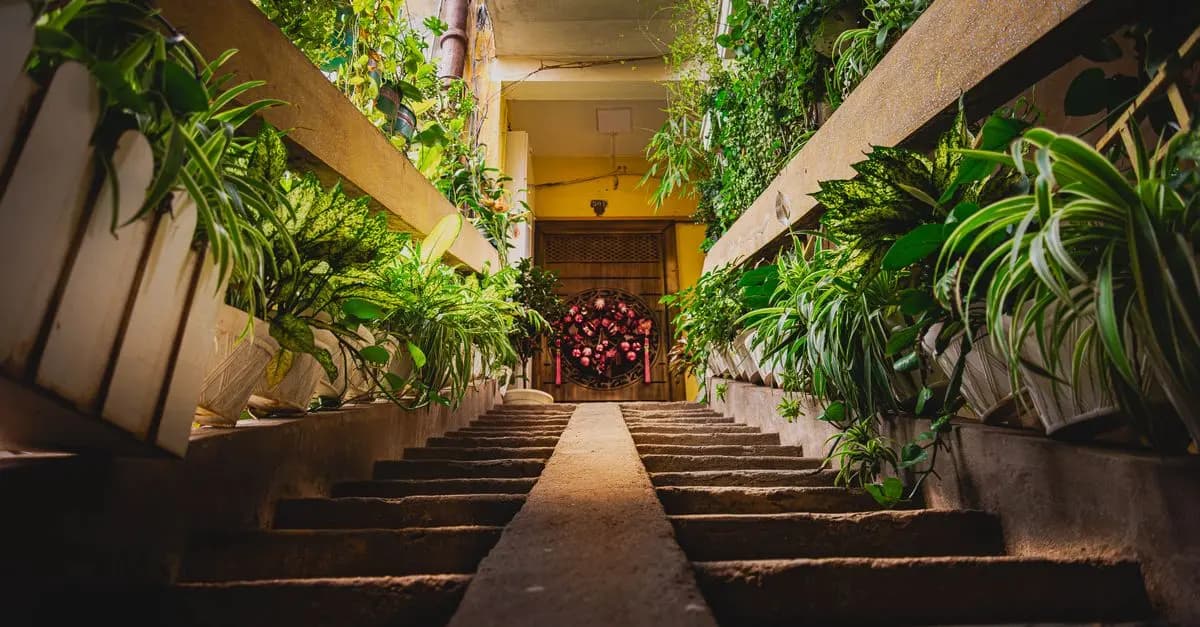 Cómo Diseñar Tu Jardín Vertical Perfecto en Casa