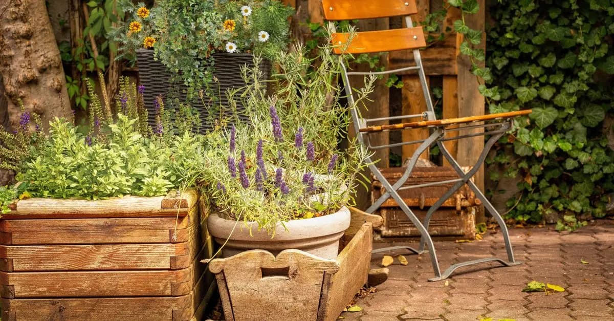 Cómo Crear un Jardín en Terraza: Guía Práctica
