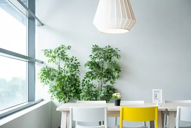 Cómo Seleccionar el Jardín Vertical Perfecto para Tu Casa