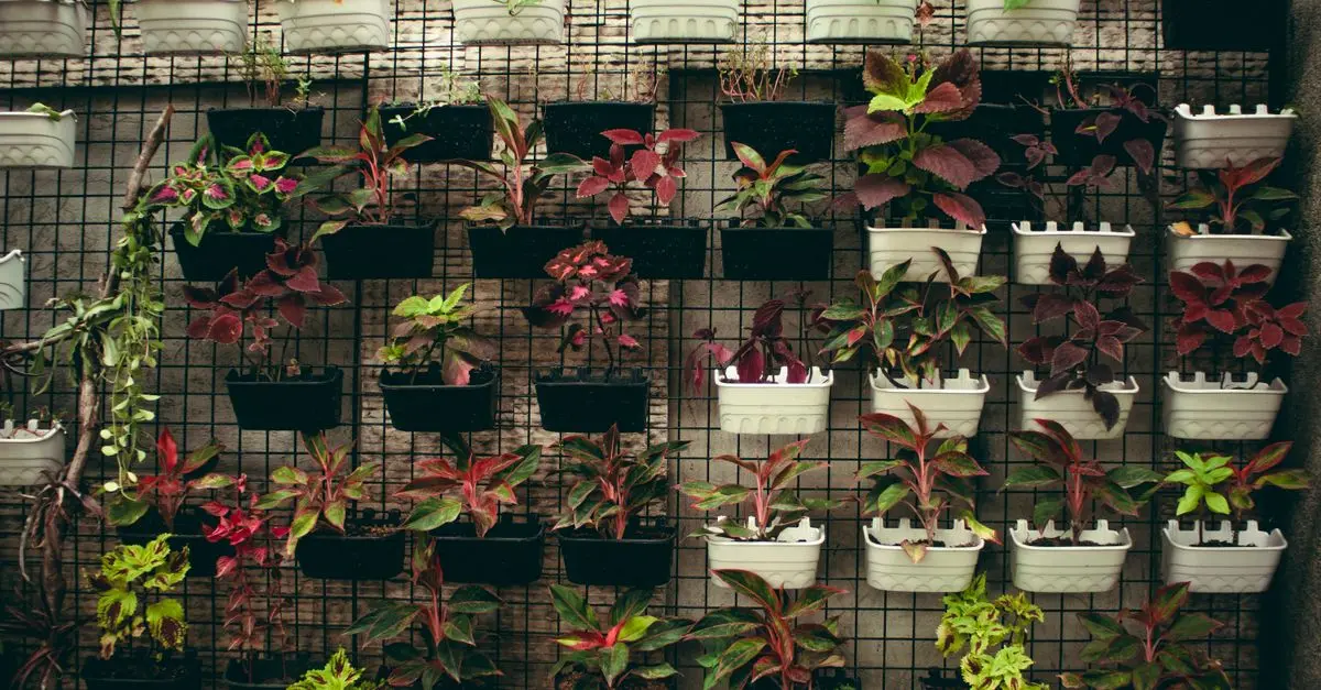 Cómo Crear un Jardín Vertical Perfecto en Casa: Guía Práctica