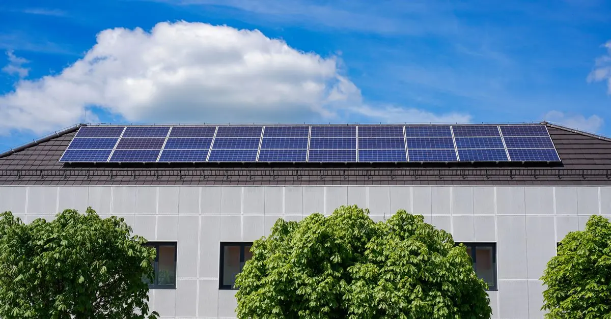 Cómo Crear una Casa Ecológica: Guía Práctica