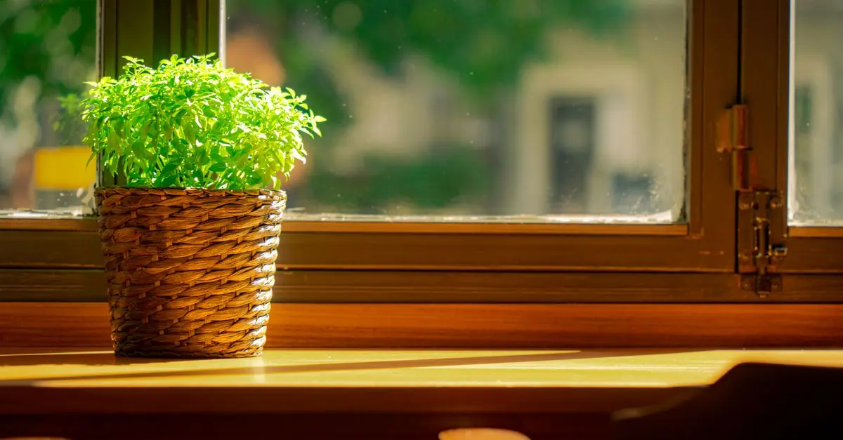 Cómo Elegir el Sistema de Ventilación Perfecto para Tu Hogar