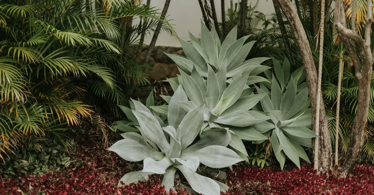 Cómo Elegir el Jardín Perfecto para tu Espacio Exterior