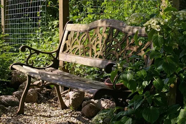 Cómo Elegir el Jardín Perfecto para Tu Espacio Exterior