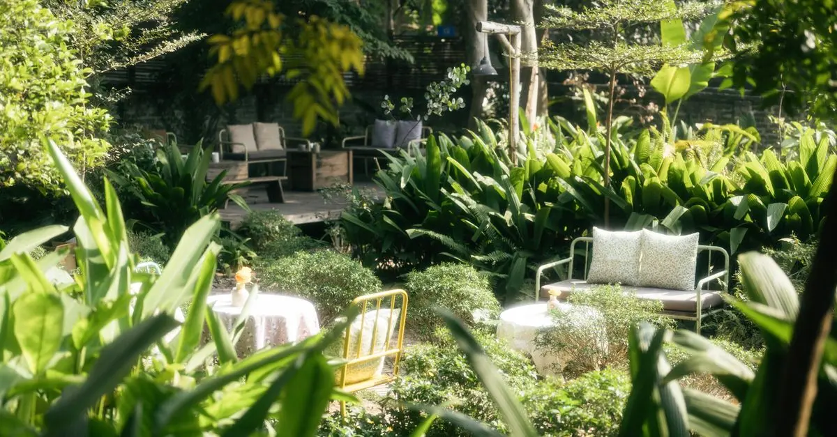 Cómo Elegir el Jardín Perfecto para Tu Espacio Exterior