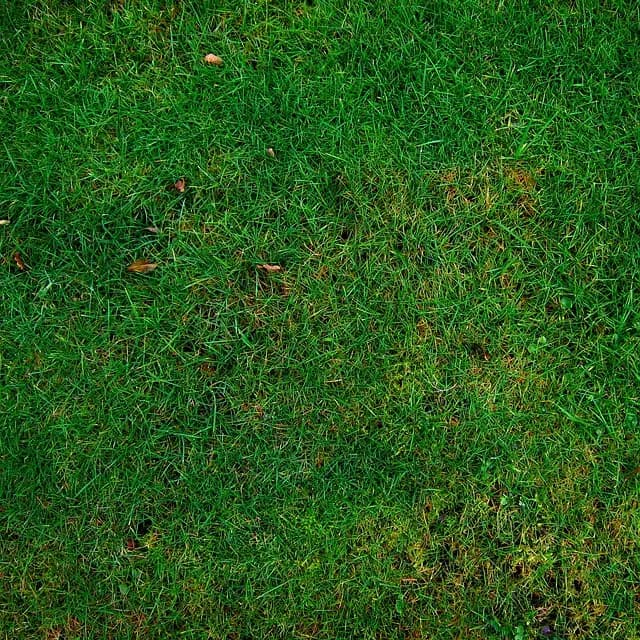 Cómo Crear un Hogar Ecológico y Sostenible: Guía Práctica