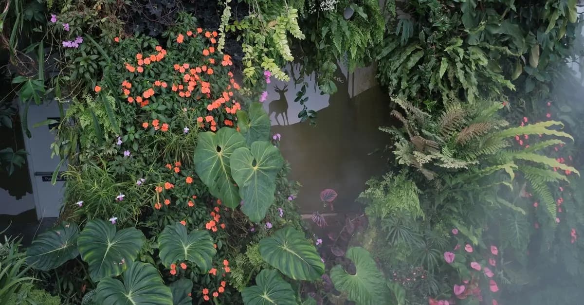 Cómo Crear un Jardín Vertical Espectacular en Casa