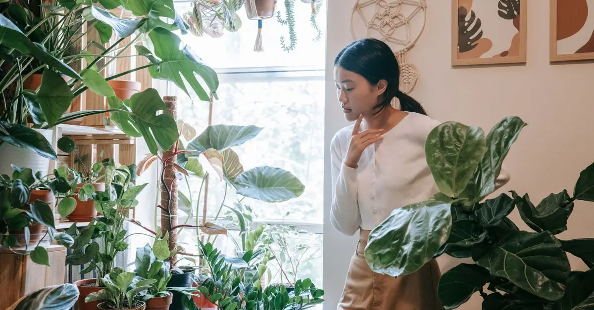 10 Consejos para Crear un Jardín Vertical en Casa