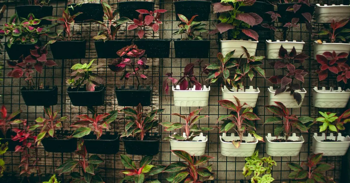 Cómo Elegir los Mejores Espacios para Jardines Verticales en Casa