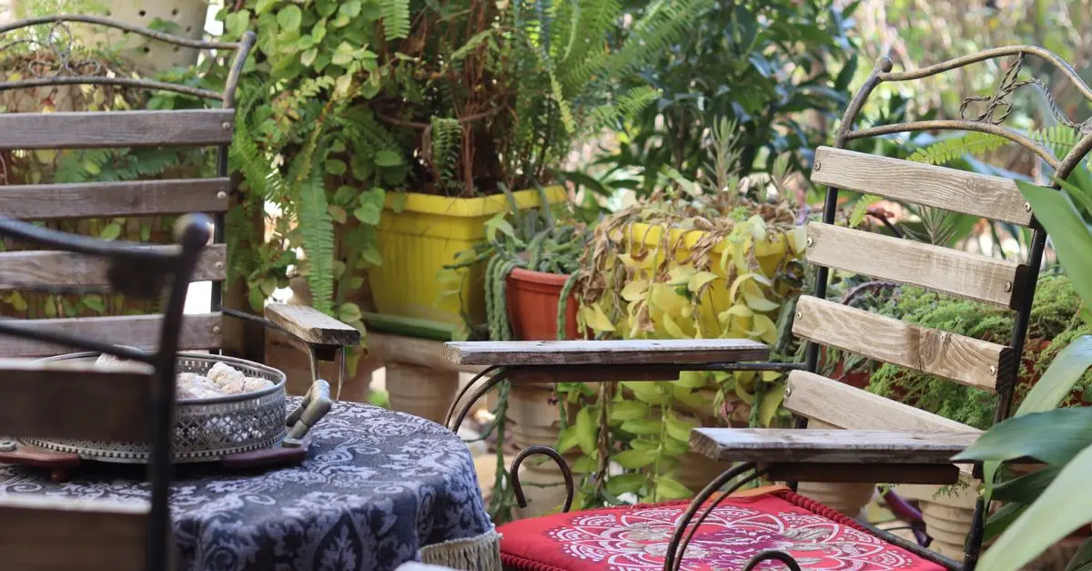 Consejos para Crear un Jardín Mediterráneo en Casa