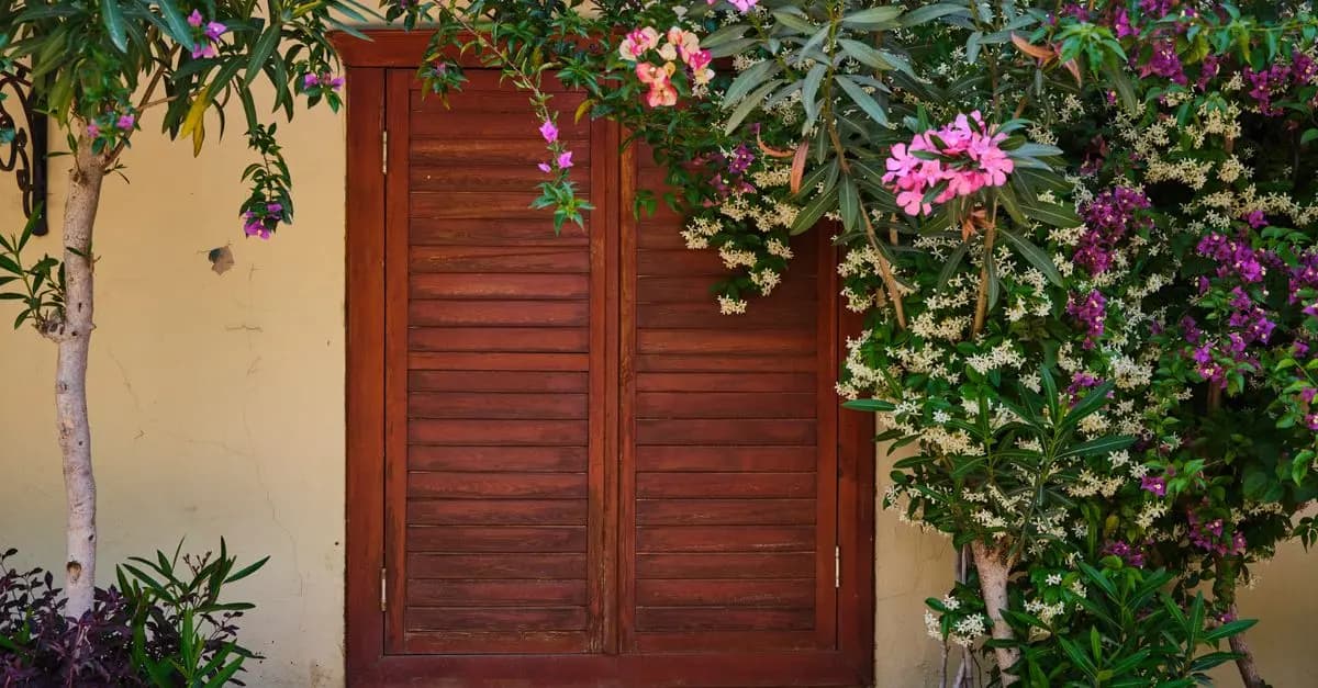 Cómo Hacer un Jardín en Casa: Guía Paso a Paso
