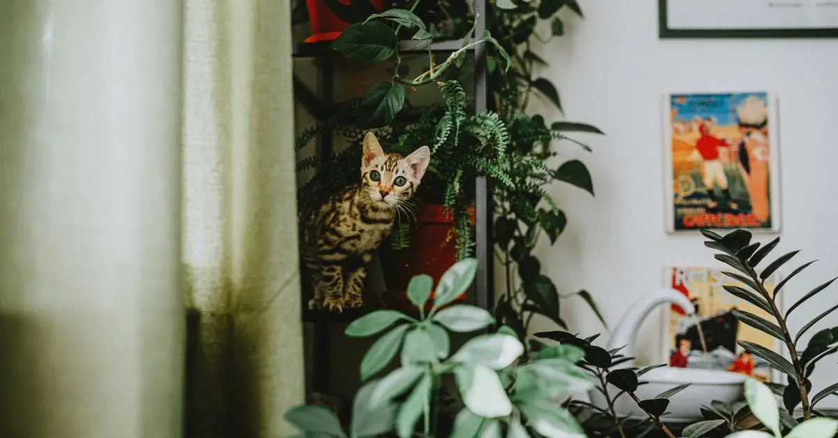 Cómo Crear un Jardín Vertical Espectacular en Casa