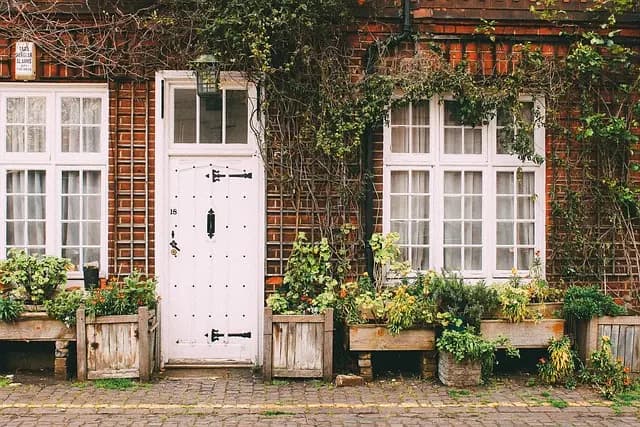 10 Consejos para Elegir el Jardín Vertical Perfecto en Casa