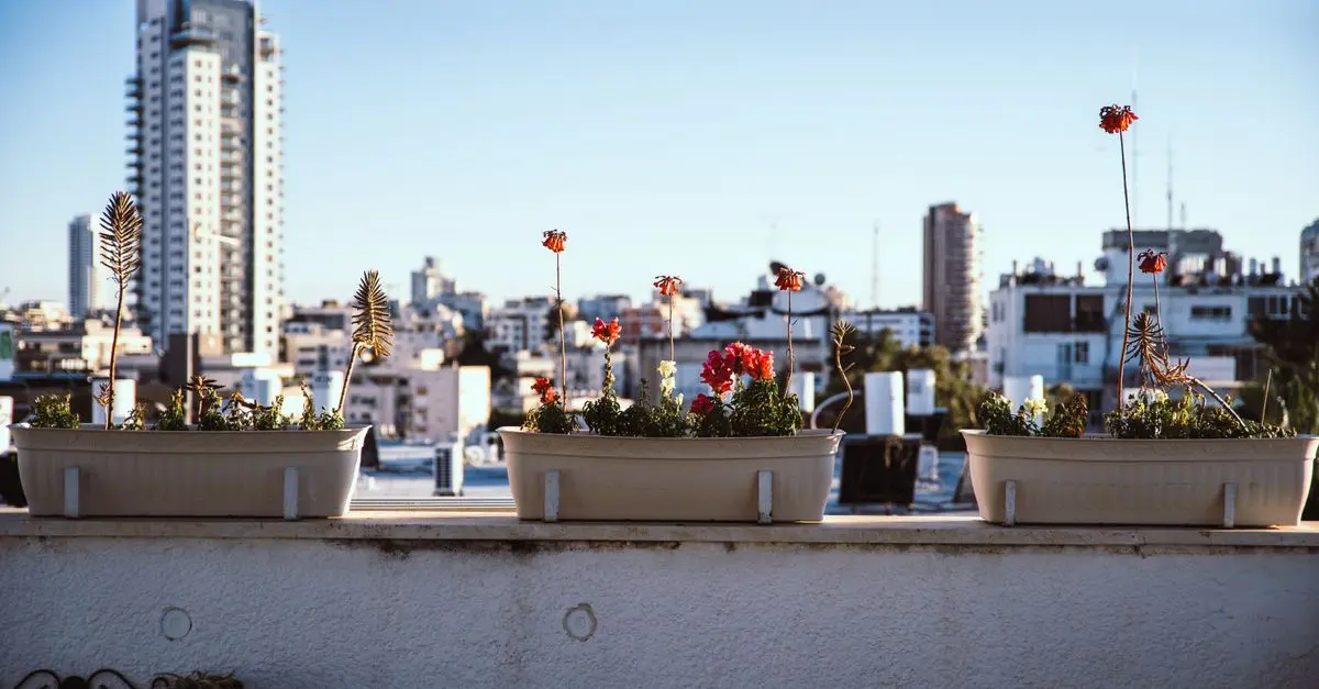 Cómo Hacer un Mini Jardín Vertical