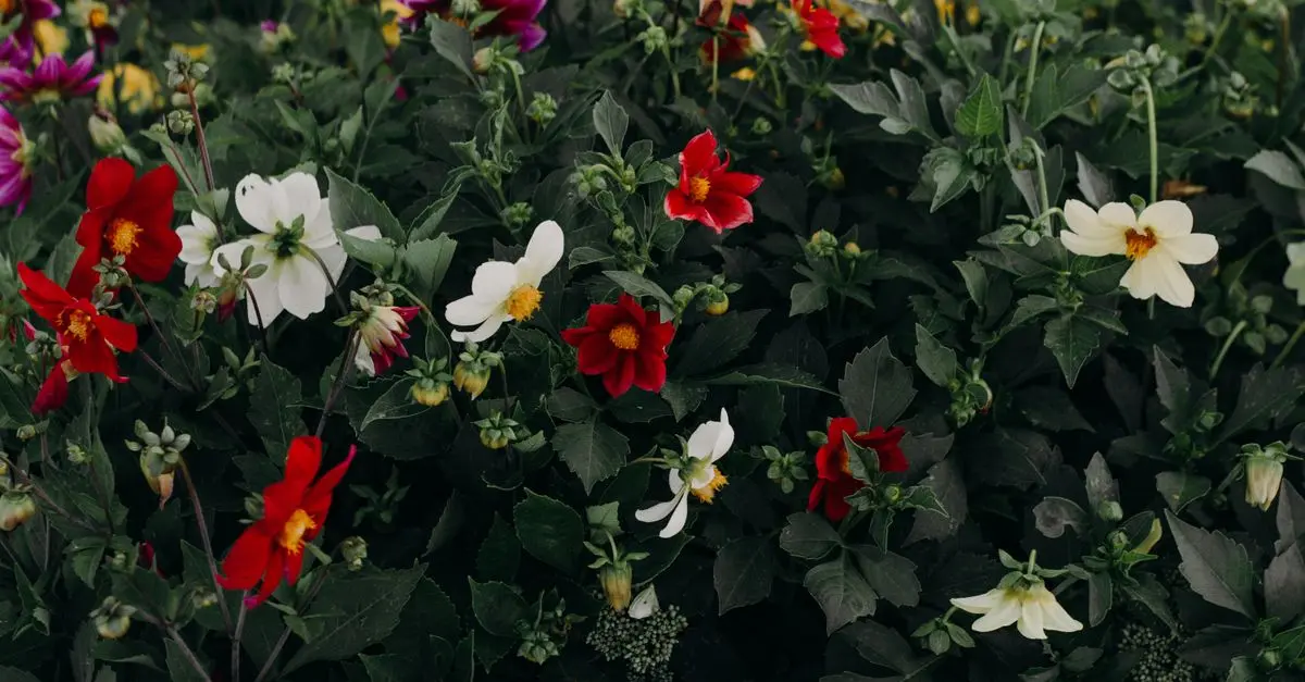 Cómo Crear un Jardín en Casa: Guía Práctica y Sencilla