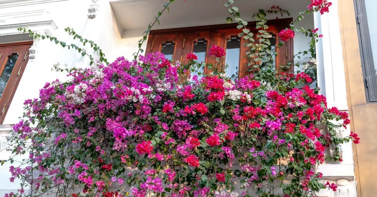 Cómo Crear un Jardín en Balcón: Guía Completa para Espacios Pequeños