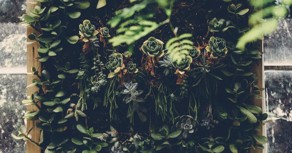 10 Consejos para Elegir el Jardín Vertical Perfecto en Casa