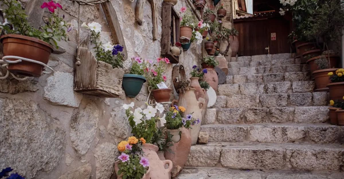 Guía Completa para Crear un Jardín Mediterráneo en Casa