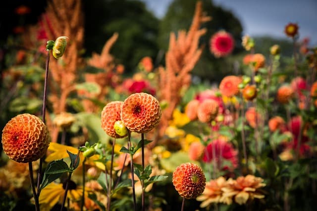 10 Ideas Creativas para Decorar tu Jardín Vertical