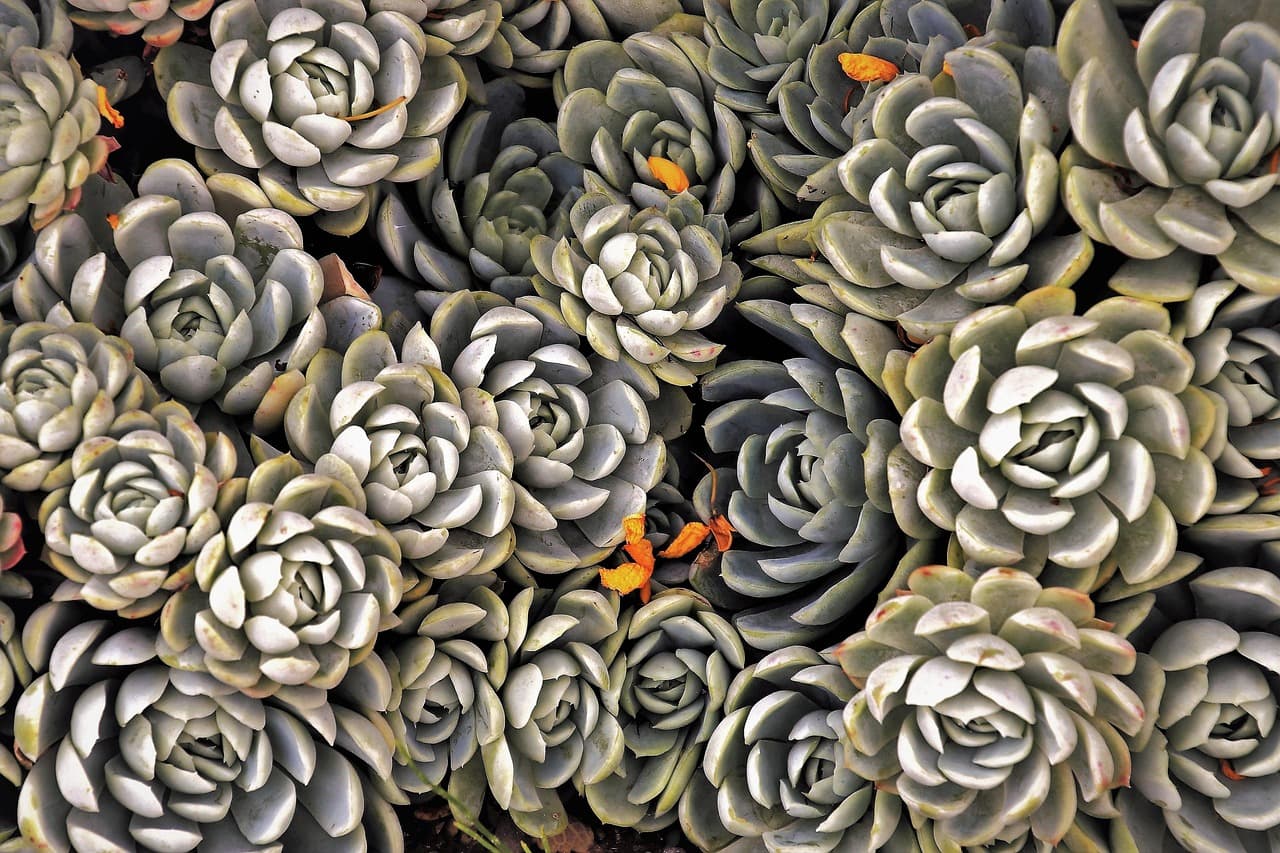 Cómo Elegir los Mejores Materiales para tu Jardin
