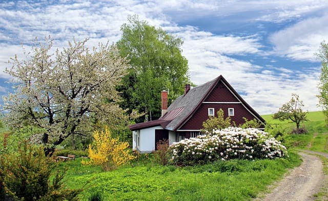 Cómo Elegir el Jardín Perfecto para Tu Espacio Exterior